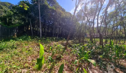 Terreno à venda, 4430 m² por R$ 1.300.000,00 - Comary - Teresópolis/RJ