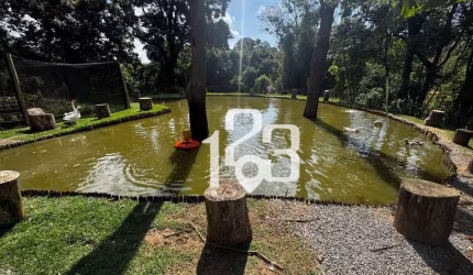 Chácara com 2 dormitórios à venda, 20000 m² por R$ 2.500.000,00 - Pedra Bela - Pedra Bela/SP