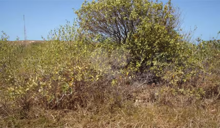 Terreno à venda em Porto Das Dunas - CE