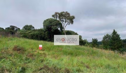 Terreno Ponta Grossa- 909 m² - Bairro Estrela -