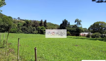 Chácara à venda, 39300 m² - Morro Grande - Colombo/PR