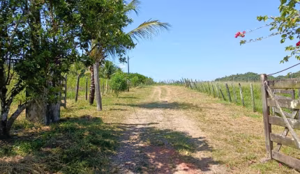 Sítio para Locação em Candeias, Área Rural de Candeias