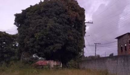 Terreno para Venda em Salvador, Cassange