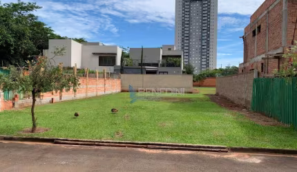 Terreno à venda, 358 m² por R$ 509.000,00 - Quinta da Primavera - Ribeirão Preto/SP