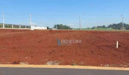 Terreno à venda, 308 m² por R$ 340.000,00 - Residencial Alto do Castelo - Ribeirão Preto/SP