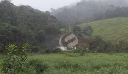 Sítio à venda, 494000 m² por R$ 741.000,00 - Lagoinha - Juquiá/SP