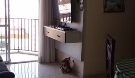 APARTAMENTO VL FORMOSA-70 MTS- PLANEJADOS-3 DORMS, 1 SUÍTE, COZINHA, SACADA, 1 VAGA, LAZER COMPLETO