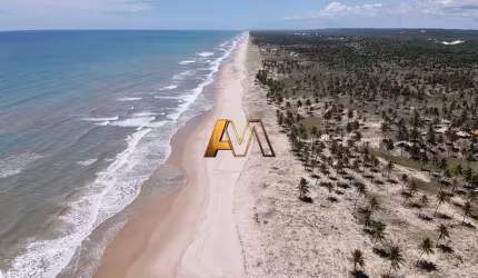 Terreno à venda no bairro Mangue Seco - Jandaíra/BA