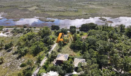 TERRENO COM VEGETAÇÃO EM BUSCA VIDA - VISTA LAGOA