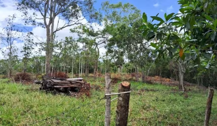 Área de 5,76 Alqueires Goianos à venda por R$ 3.500.000 em Abadiânia/GO