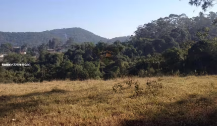 Terreno para Venda em Suzano, Palmeiras