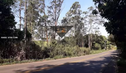 Terreno para Venda em Suzano, Palmeiras