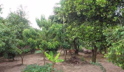 Casa residencial à venda, Bom Retiro, São José dos Campos.