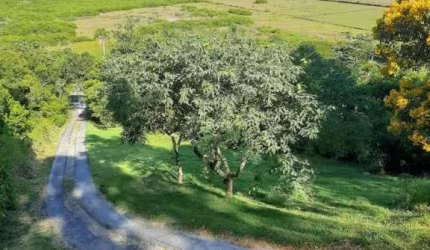 Terreno à venda, 12100.00 m2 por R$1150000.00  - Vargem Pequena - Florianopolis/SC
