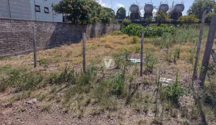 Terreno no Ouro Verde em Camobi