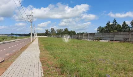 Terreno no Cidade Universitária