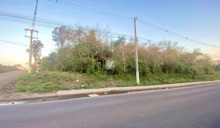 Terreno comercial com quase 1000m2 próximo ao moradas Manta Maria!