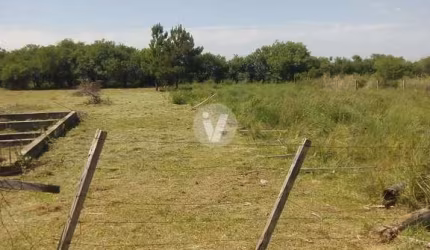 Terreno à venda Diácono João Luiz Pozzobon Santa Maria/RS