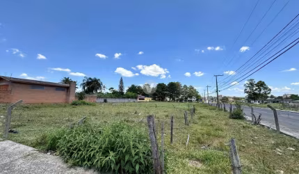 TERRENO DE ESQUINA NO PARQUE PINHEIRO MACHADO - PRONTO PARA CONSTRUIR