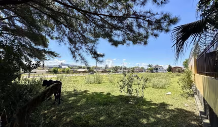 TERRENO DE ESQUINA NO PARQUE PINHEIRO MACHADO - PRONTO PARA CONSTRUIR