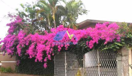 CASA A VENDA EM AMERICANA