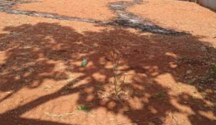 Terreno à venda, 1050 m² por R$ 350.000,00 - Lagoa Mansões - Lagoa Santa/MG