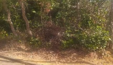 Terreno à venda, 1000 m² por R$ 220.000,00 - Condomínio Estância da Mata - Jaboticatubas/MG