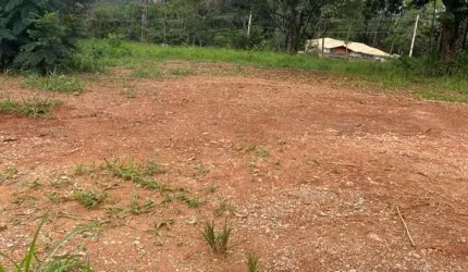 Lote plano no Jardim Ipe