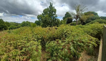 Terreno à venda, 1000 m² por R$ 700.000,00 - Jardim Ipê - Lagoa Santa/MG