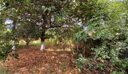 Terreno à venda, 1000 m² por R$ 700.000,00 - Jardim Ipê - Lagoa Santa/MG