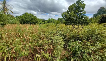 Terreno à venda, 1000 m² por R$ 700.000,00 - Jardim Ipê - Lagoa Santa/MG