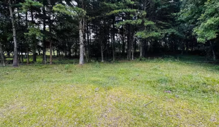 Sítio / Chácara para Venda no bairro Alto Padre Eterno em Santa Maria do Herval, 5000 m² privativos,