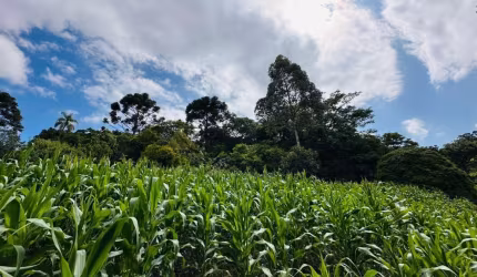 Sítio / Chácara para Venda no bairro Serra Grande em Três Coroas, 1 quarto, 61612 m² privativos,
