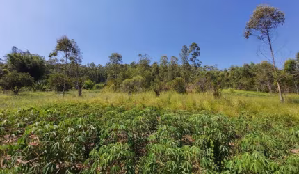Sítio / Chácara para Venda no bairro Zona Rural em Araricá, 20000 m² privativos,