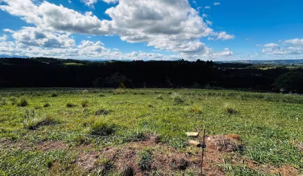 Sítio / Chácara para Venda no bairro Zona Rural em Sapiranga, 5000 m² privativos,