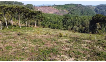 Sítio / Chácara para Venda no bairro Linha Tapera em Gramado, 32000 m² de área total,