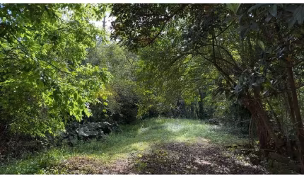 Terreno para Venda no bairro Amaral Ribeiro em Sapiranga, 853 m² de área total,