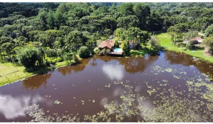 Sítio / Chácara para Venda no bairro Zona Rural em Canela, 4 quartos sendo 4 suítes, Semi-Mobiliado, 59000 m² de área total, 300 m² privativos,