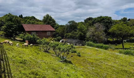 Sítio / Chácara para Venda no bairro Serra Grande em Três Coroas, 2 quartos, 700 m² privativos,