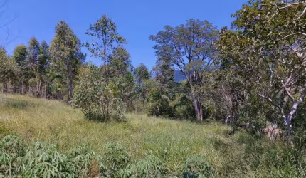 Sítio / Chácara para Venda no bairro Zona Rural em Araricá, 27317 m² privativos,