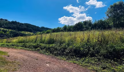 Sítio / Chácara para Venda no bairro São Jacó em Nova Petrópolis, 55000 m² privativos,
