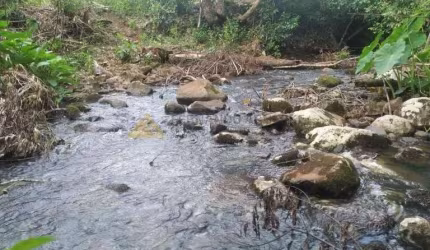 Sítio / Chácara para Venda no bairro Zona Rural em São Francisco de Paula, 100000 m² de área total,