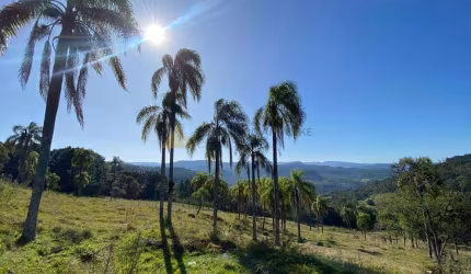 Sítio / Chácara para Venda no bairro Zona Rural em Três Coroas, 20000 m² de área total,