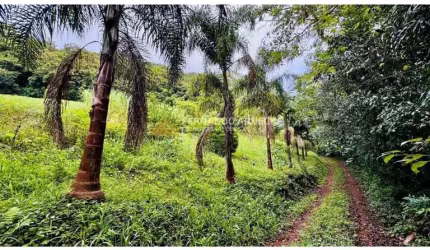 Sítio / Chácara para Venda no bairro Serra Grande em Igrejinha, 39000 m² de área total, 39000 m² privativos,