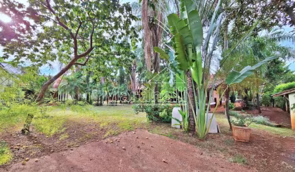 Casa Padrão em Ribeirão Preto