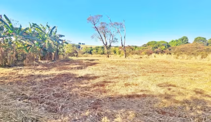 Rural Fazendas - Sitios em Batatais