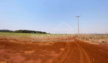 Área comercial de 130.000m² de área terreno a venda na Rodovia Anhanguera - Jardinópolis/SP.