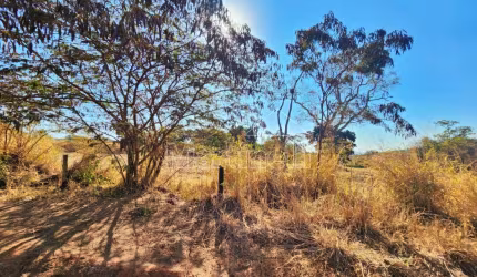 Rural Fazendas - Sitios em Ribeirão Preto