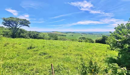 Chácara residencial | comercial de 20.000m² de área à venda, próximo à Fazenda Vista Linda - Ribeirão Preto/SP.