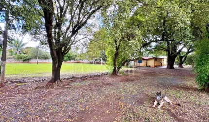 Chácara Mista de 7.500m² de área terreno para venda, próximo a Avenida Doutor Celso Charuri - Bairro Recreio das Acácias, Ribeirão Preto/SP.